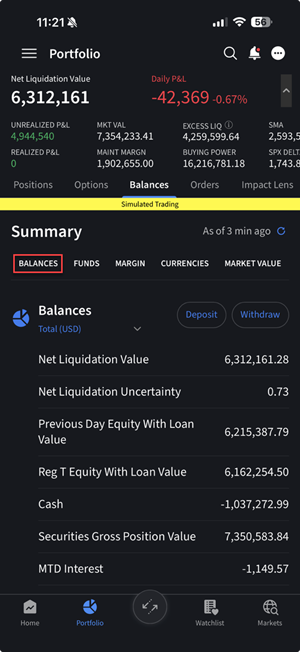 The balances tab on the iPhone